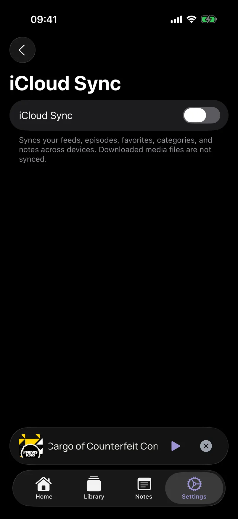 iCloud Sync settings with an explanation of what is synchronized